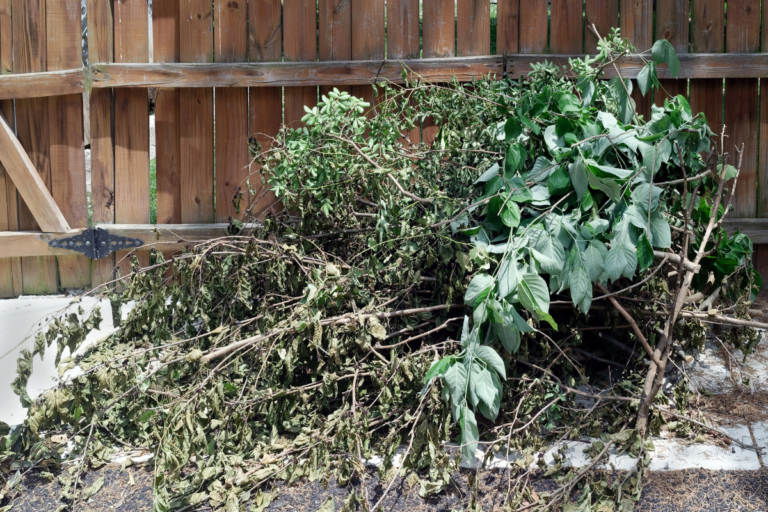 Yard Waste Removal Las Vegas